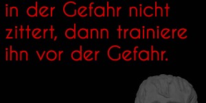 Beitragsbild des Blogbeitrags Willst du, dass einer in der Gefahr nicht zittert, dann trainiere ihn vor der Gefahr.
