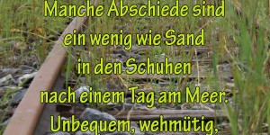 Beitragsbild des Blogbeitrags Manche Abschiede sind ein wenig wie Sand in den Schuhen nach einem Tag am Meer. Unbequem, wehmütig, aber voller schöner Erinnerungen.