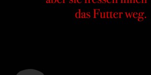 Beitragsbild des Blogbeitrags Vegetarier essen keine Tiere, aber sie fressen ihnen das Futter weg.