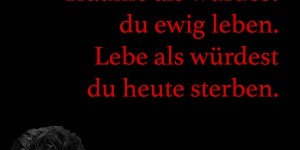 Beitragsbild des Blogbeitrags Träume als würdest du ewig leben. Lebe als würdest du heute sterben.