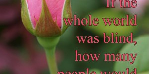 Beitragsbild des Blogbeitrags If the whole world was blind, how many people would you impress?