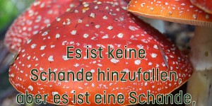 Beitragsbild des Blogbeitrags Es ist keine Schande hinzufallen, aber es ist eine Schande, liegenzubleiben.