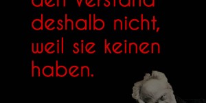 Beitragsbild des Blogbeitrags Viele verlieren den Verstand deshalb nicht, weil sie keinen haben.