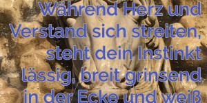 Beitragsbild des Blogbeitrags Während Herz und Verstand sich streiten, steht dein Instinkt lässig, breit grinsend in der Ecke und weiß als einziger genau Bescheid.