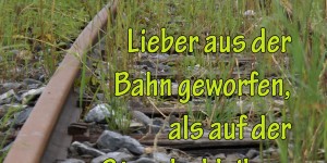 Beitragsbild des Blogbeitrags Lieber aus der Bahn geworfen, als auf der Strecke bleiben. 