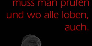 Beitragsbild des Blogbeitrags Wo alle verurteilen, muss man prüfen und wo alle loben, auch.