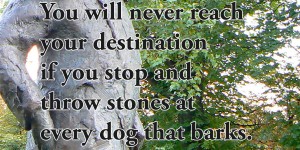 Beitragsbild des Blogbeitrags You will never reach your destination if you stop and throw stones at every dog that barks.