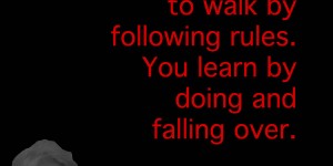 Beitragsbild des Blogbeitrags You don’t learn to walk by following rules. You learn by doing and falling over.