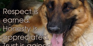 Beitragsbild des Blogbeitrags Respect is earned. Honesty is appreciated. Trust is gained. Loyalty is returned.