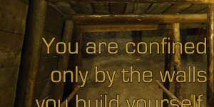 Beitragsbild des Blogbeitrags You are confined only by the walls you build yourself.