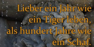 Beitragsbild des Blogbeitrags Lieber ein Jahr wie ein Tiger leben, als hundert Jahre wie ein Schaf. 