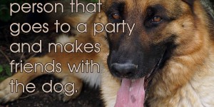 Beitragsbild des Blogbeitrags I’m that type of person that goes to a party and makes friends with the dog. 