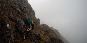 Beitragsbild des Blogbeitrags Tristkopf (2110m) – über dem Nebel ist es bestimmt schön 