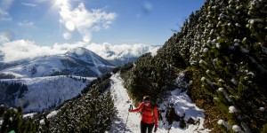 Beitragsbild des Blogbeitrags Napf (2167m) – meistens unbeachtet, ohne Gipfelkreuz, aber wunderschön