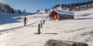 Beitragsbild des Blogbeitrags Skitour Lackenkogel (2051m) – Schnee in jeder Bestandsform 