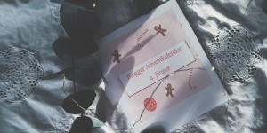 Beitragsbild des Blogbeitrags Naturkosmetik Giveaway - Blogger Adventkalender Österreich