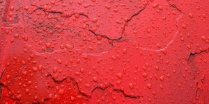 Beitragsbild des Blogbeitrags Konny sieht rot