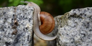 Beitragsbild des Blogbeitrags Gibt es einen freien Willen?