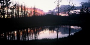 Beitragsbild des Blogbeitrags Der Yellowstone Nationalpark in Wyoming 