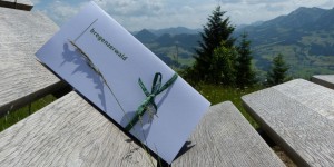 Beitragsbild des Blogbeitrags Kulinarisches wandern im Bregenzerwald – eine kleine Auszeit