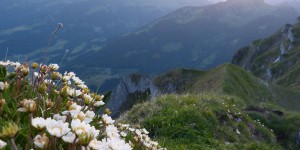Beitragsbild des Blogbeitrags Monatsrückblick Juni 2018
