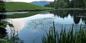 Beitragsbild des Blogbeitrags Monatsrückblick Juli – ein erlebnisreicher Monat