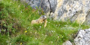 Beitragsbild des Blogbeitrags Monatsrückblick – meine Highlights im Monat August