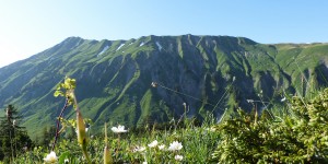 Beitragsbild des Blogbeitrags Bin ich mit Ü50 zu alt für (m)einen Blog?
