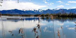 Beitragsbild des Blogbeitrags Lagunenwanderung am Bodensee