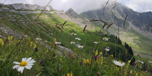 Beitragsbild des Blogbeitrags Von Schönebach zum Gottesacker und über das Hahnenköpfle wieder zurück!