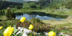 Beitragsbild des Blogbeitrags Die 11 schönsten Bergseen in Vorarlberg