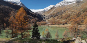 Beitragsbild des Blogbeitrags Meine Lieblingsbilder zur Fotoparade 2022 #FOPANET