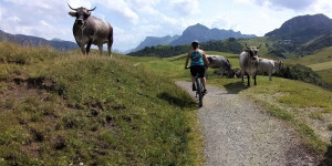 Beitragsbild des Blogbeitrags Mit dem E-Mountainbike sicher am Berg unterwegs- meine Tipps!