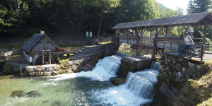 Beitragsbild des Blogbeitrags Radtouren in der Sebaldusregion! In BeWEGung sein und die Region erFAHREN!