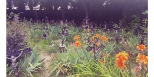 Beitragsbild des Blogbeitrags Ausflug Friedhof der Namenlosen