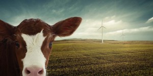 Beitragsbild des Blogbeitrags Personal | Vom Greenwashing, Billigfleisch und vertanen Chancen 