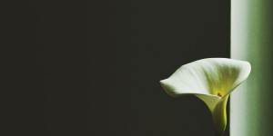 Beitragsbild des Blogbeitrags Vereinbarkeit von Familie und Beruf