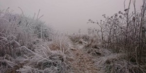Beitragsbild des Blogbeitrags #GetAtHome Challenge 01: “Bad” Weather? Get Out Anyway.