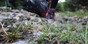 Beitragsbild des Blogbeitrags High Comfort, So Last Season: Mammut Comfort High GTX Surround Boot Review