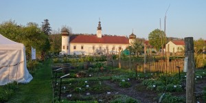 Beitragsbild des Blogbeitrags #GetAtHome Work: Arche Noah in Schiltern, A Lesson in Time