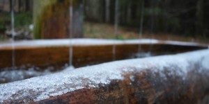 Beitragsbild des Blogbeitrags Fit Life Advice 5: Hydration & Nutrition in Winter Running