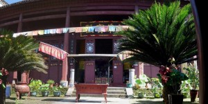 Beitragsbild des Blogbeitrags Japanese Zen Buddhism’s Hidden Roots in China: Hunan’s Baoning Chan Temple