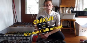 Beitragsbild des Blogbeitrags Wie baut man Chili an?