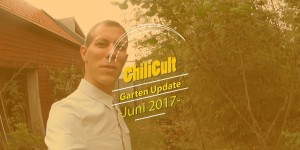 Beitragsbild des Blogbeitrags Garten-Update 4: Juni 2017