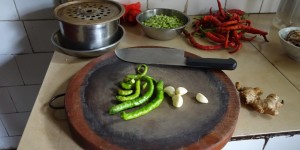 Beitragsbild des Blogbeitrags ChiliCult in China: Gemüse im Hinterhof 