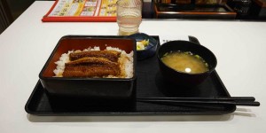 Beitragsbild des Blogbeitrags Auf der Spur von Würze in Japan 16: Unagi bei Yoshinoya am Flughafen 