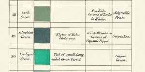 Beitragsbild des Blogbeitrags Chilli Trouvée: Schwarz-Grün nach Syme, Werner’s Nomenclature of Colours