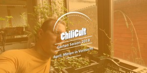 Beitragsbild des Blogbeitrags Das Gartenjahr 2018: Mitten in Vorzucht