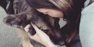 Beitragsbild des Blogbeitrags Lebensmüde