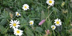 Beitragsbild des Blogbeitrags Belletristik – lehr’ mich nicht urteilen.